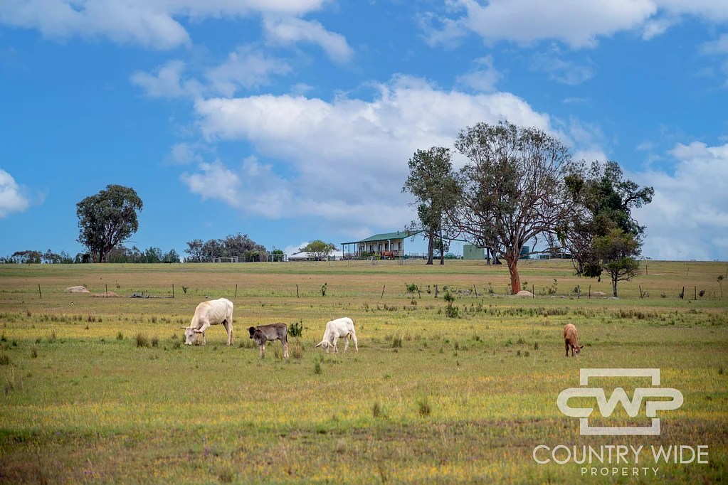 Bonshaw Gum Camp