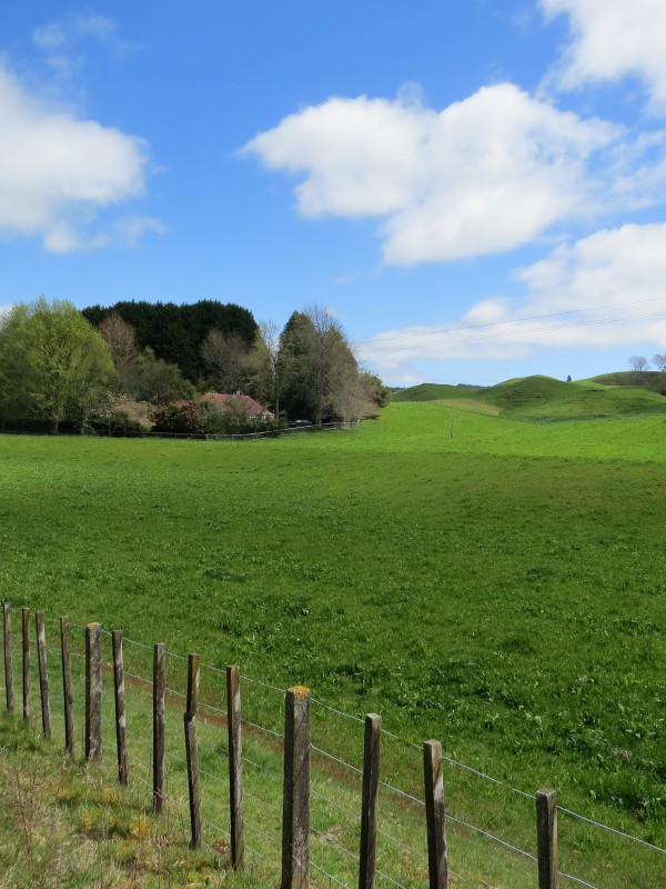 76 Spencer Road, Lake Tarawera, Rotorua, 0 Kuwarto, 0 Banyo