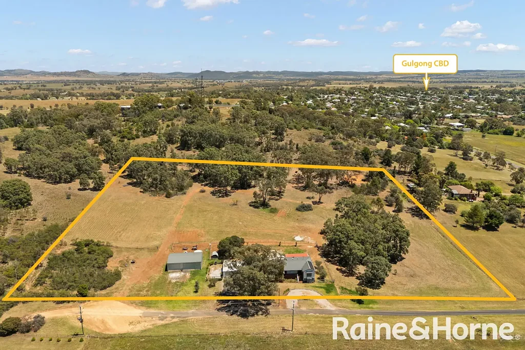 46 Homer Street, Gulgong, NSW 2852