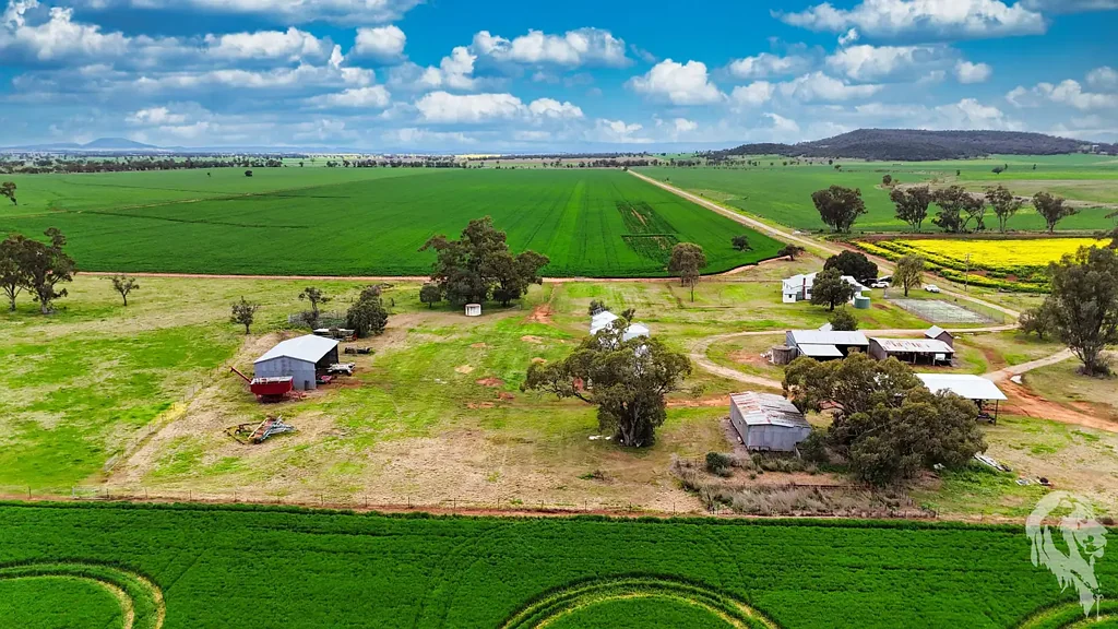 Gunnedah BEAUTIFUL GUNNEDAH PROPERTY WITH CROPS!