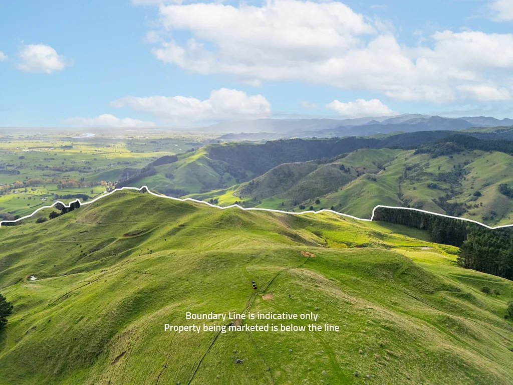 Paeroa 274Ha | Sheep, Beef & Forestry Options