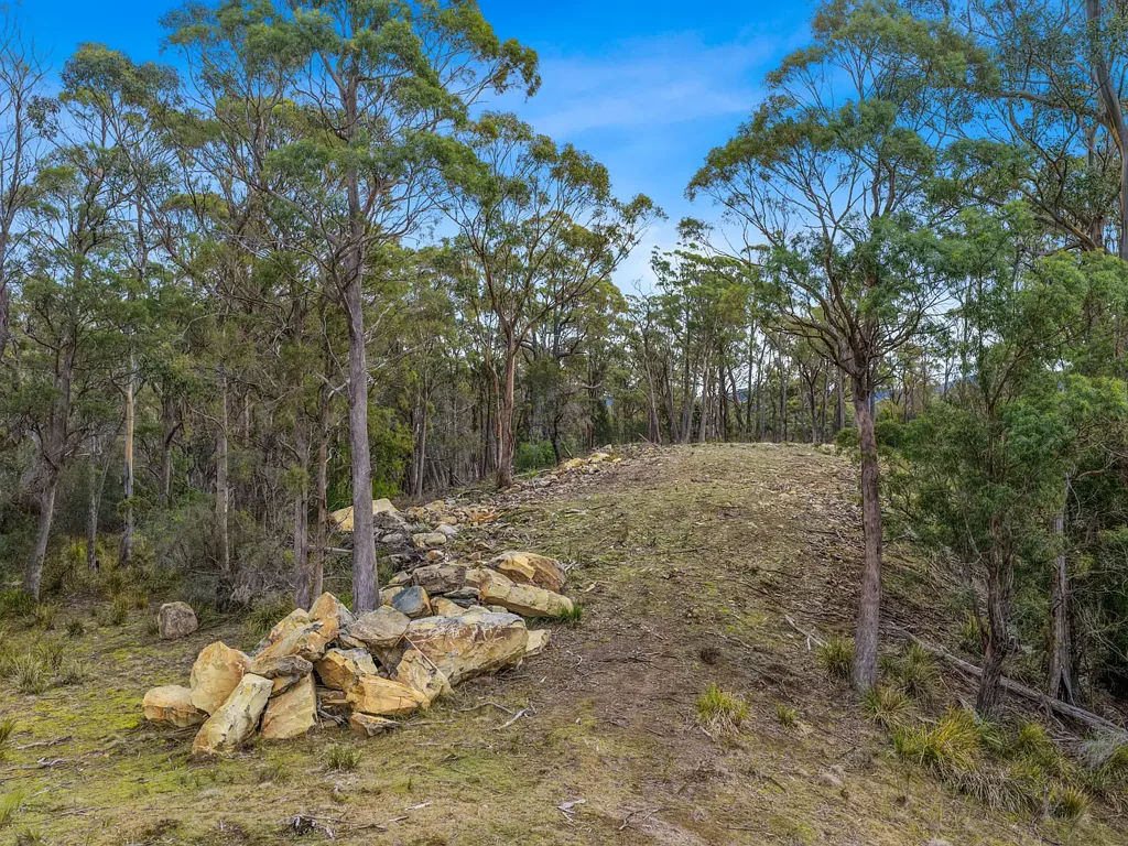 Bicheno Privacy In A Bush Setting