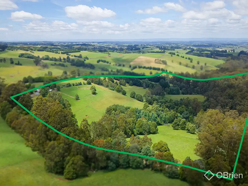 85 Paynter Road, Neerim Junction, VIC 3832