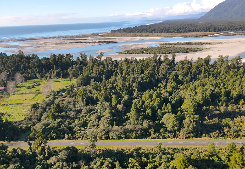 Jackson Bay  West Coast Bush Block