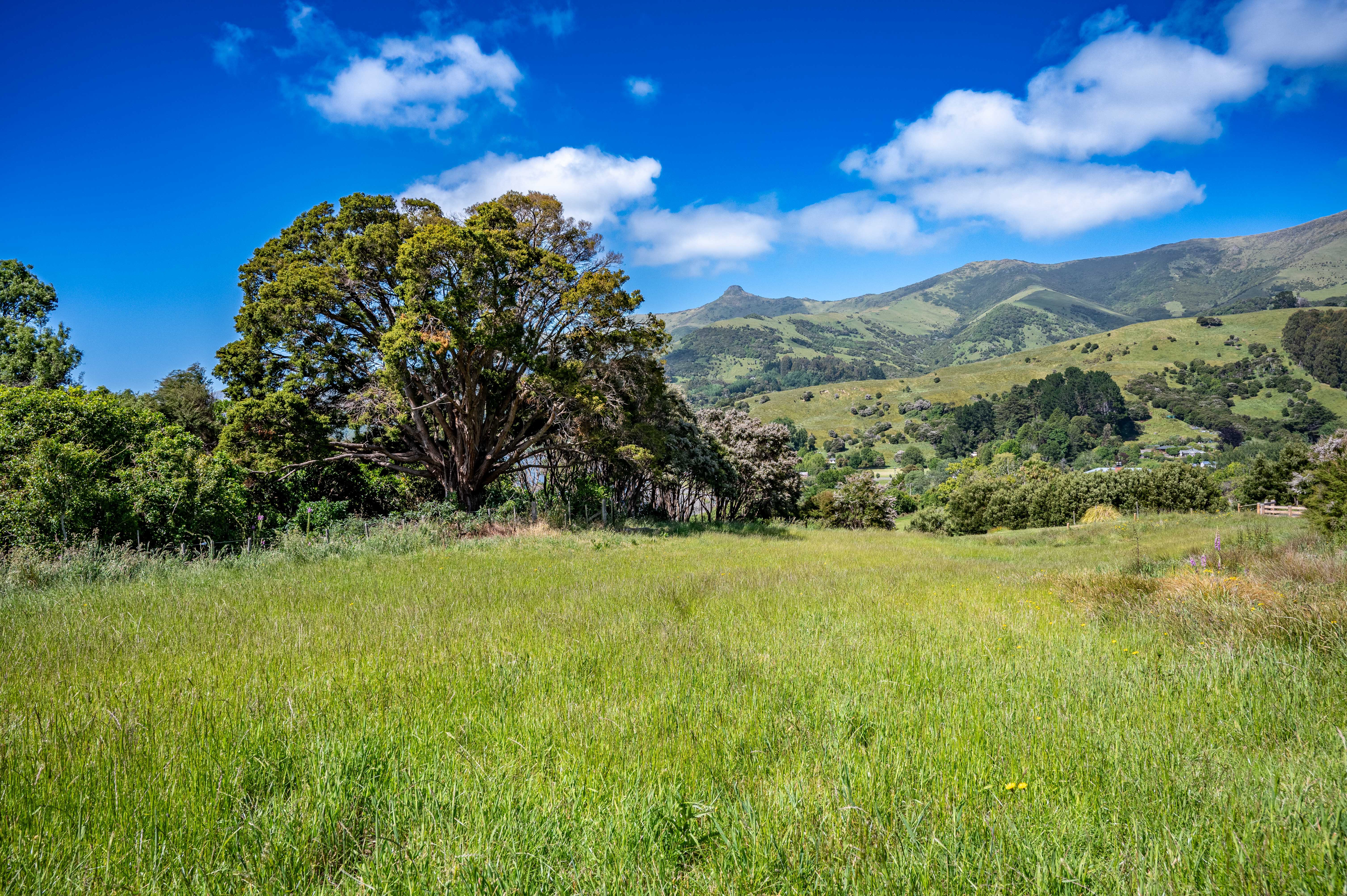 36 Cemetery Road, Wainui, Christchurch, 0 Schlafzimmer, 0 Badezimmer, Section