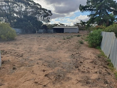 Lot 5 Railway Terrace, Pygery, SA 5652, 0 Bedrooms, 0 Bathrooms, Section