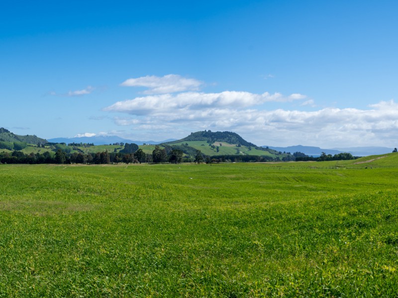 658 Tukairangi Road, Kinloch, Taupo, 4房, 0浴