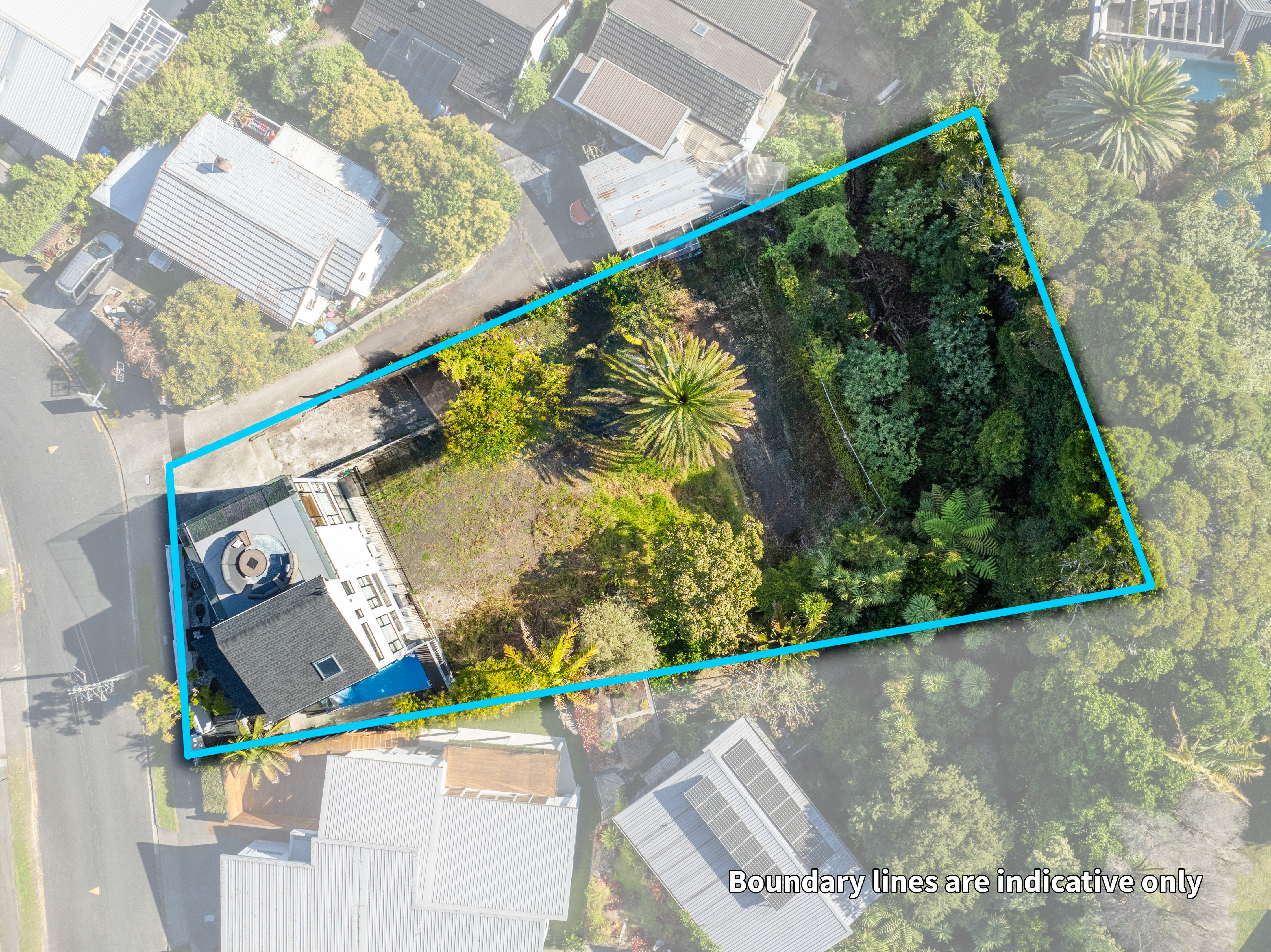 15 Wiles Avenue, Remuera, Auckland City