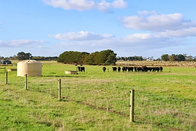 59 Gapes Road, Winslow, VIC 3281, 0 slaapkamers, 0 badkamers, Lifestyle Property
