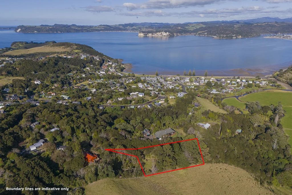 Whitianga Price Reduced - Vendor wants gone