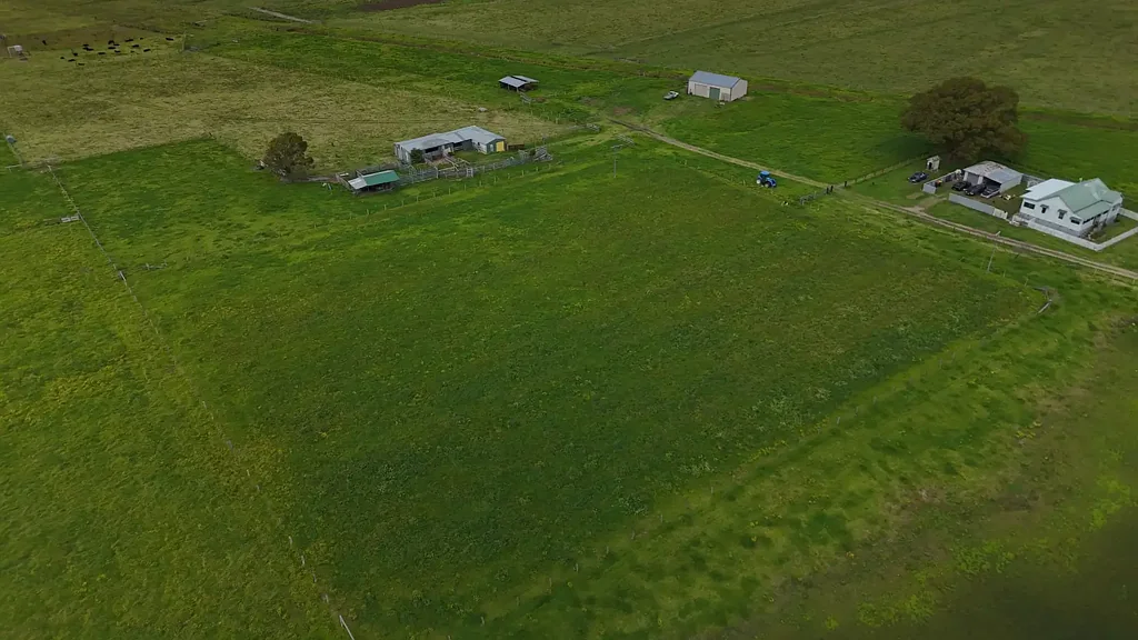 Clybucca Alluvial Fattening Country