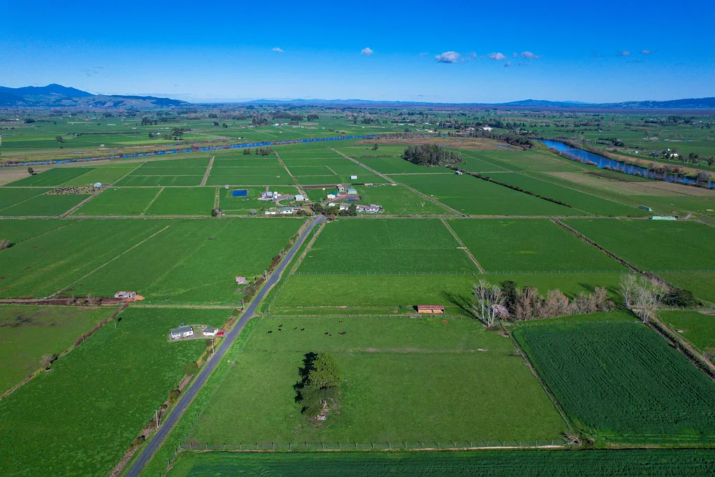 Paeroa A Legacy Dairy Farm Awaits
