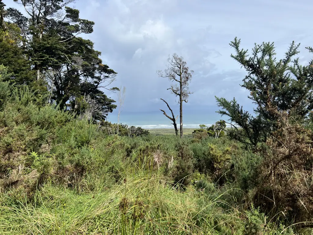 Barrytown Stunning Barrytown Property with Sea Views and Endless Potential