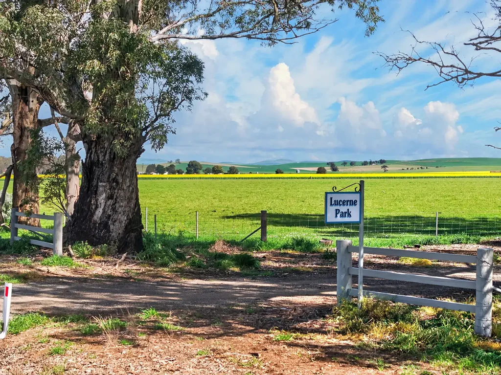 Booborowie Going to Auction - A Genuine Opportunity, Not to be Missed