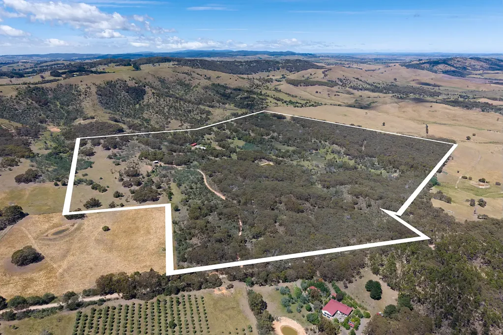 Glenhope East  City Limits - Country Living