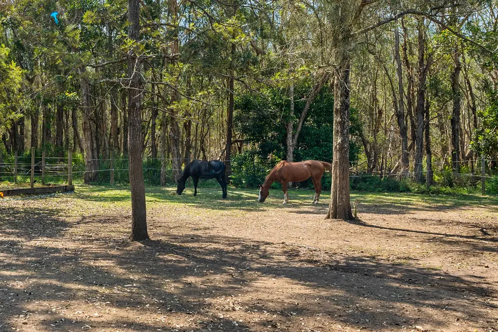Tuggerawong 3房  A Rural Yet Coastal and Convenient Lifestyle Opportunity. Family Acres only 250m from Tuggerah Lakes.
