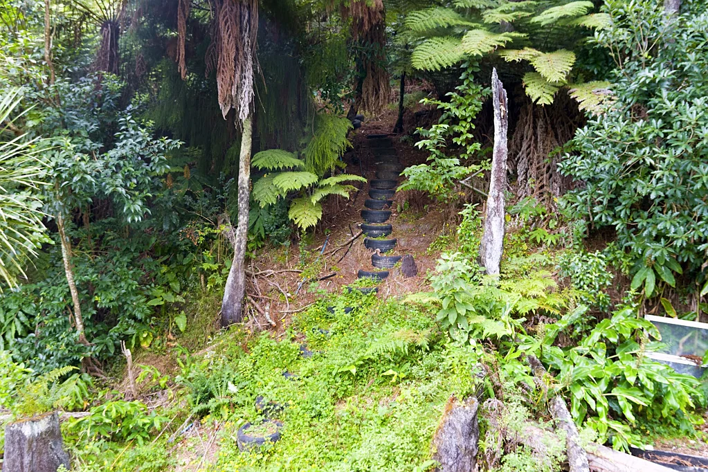 Massey 3 Bedroom HIDDEN PARADISE A RARE OPPORTUNITY FOR THE BOLD