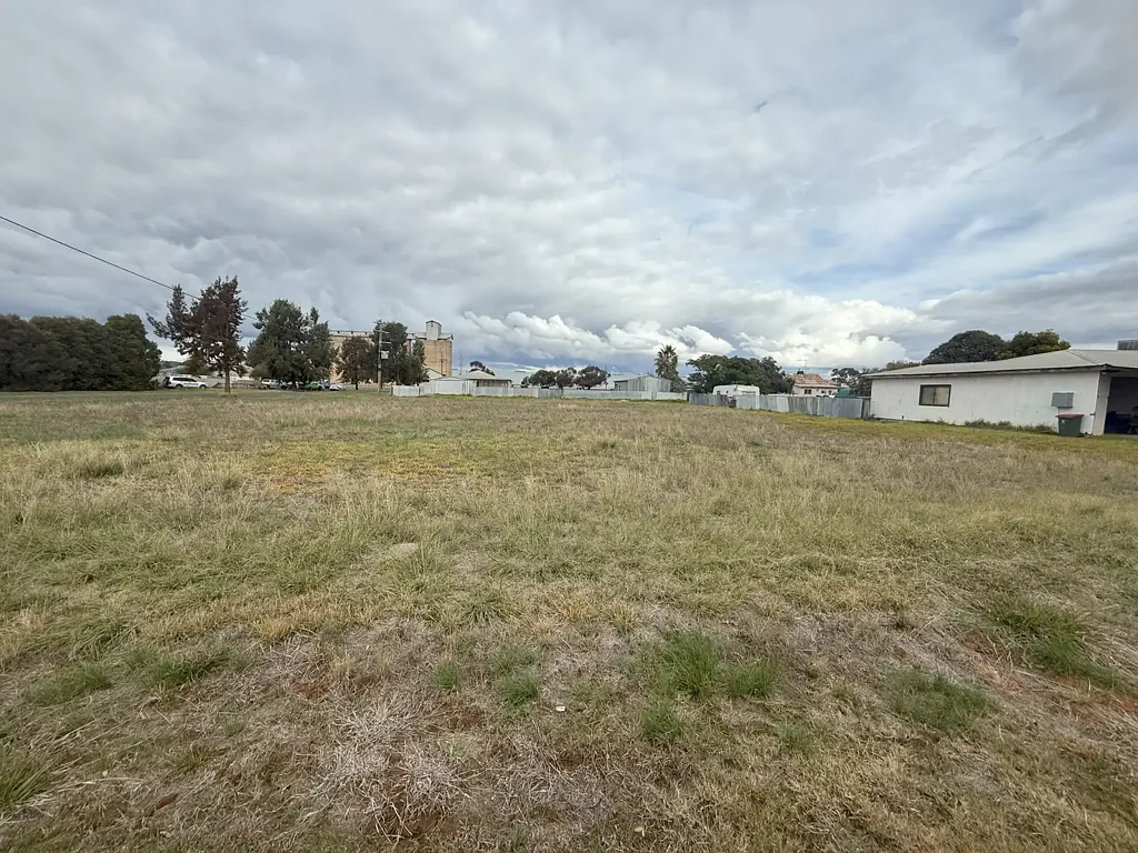 22-24 Lachlan Street, Bogan Gate, NSW 2876