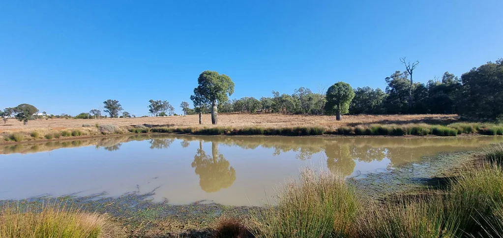 98 Benhams Road, Mundubbera, QLD 4626