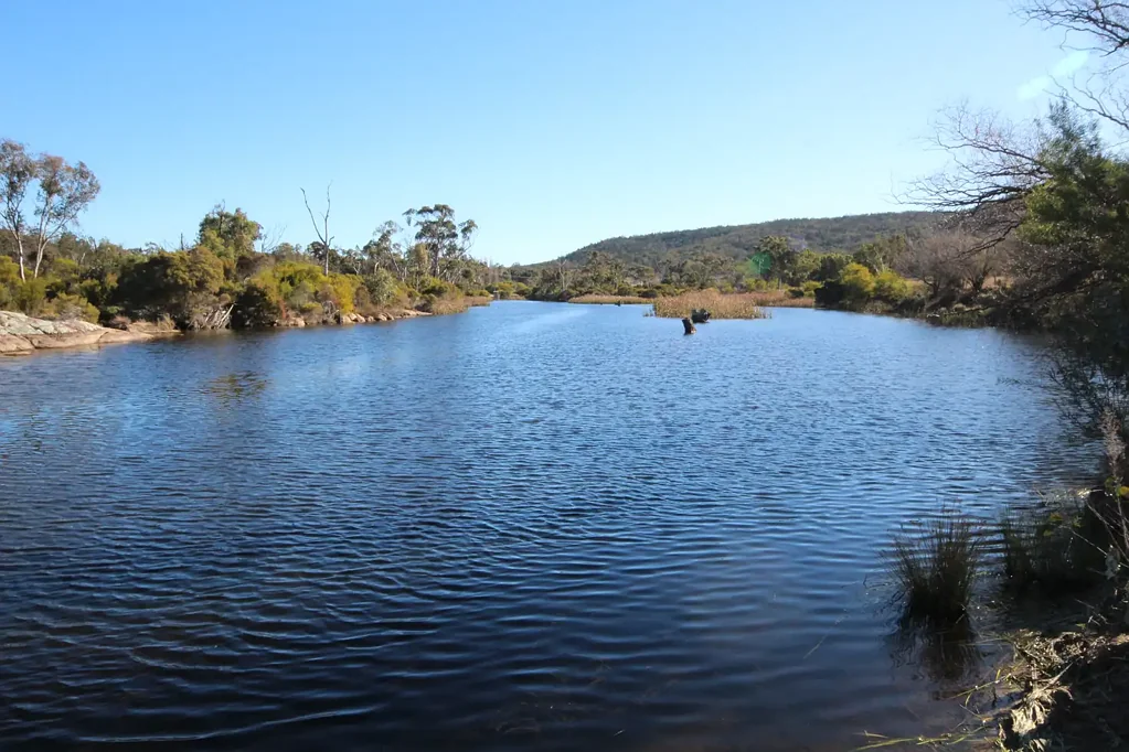 Fletcher SEVERN RIVER FRONTAGE WITH IRRIGATION & CULTIVATION POTENTIAL