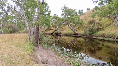 596 Mostyn Lane, Balmoral, VIC 3407, 0 slaapkamers, 0 badkamers, Lifestyle Property