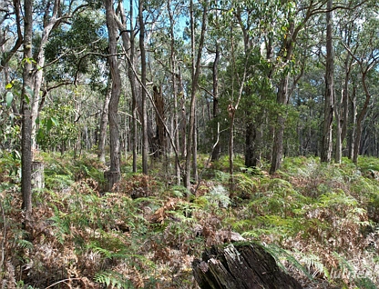 "Myamyn West" Myamyn Road, Hotspur, Portland and Glenelg Shire, 0 રૂમ, 0 બાથરૂમ, Lifestyle Property