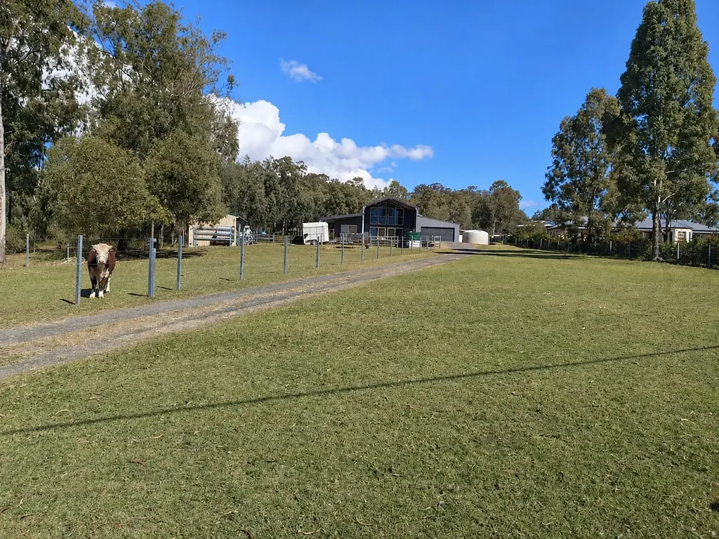Glenore Grove American Barn Living on 4,209m² - Big on Space, Sheds & Lifestyle