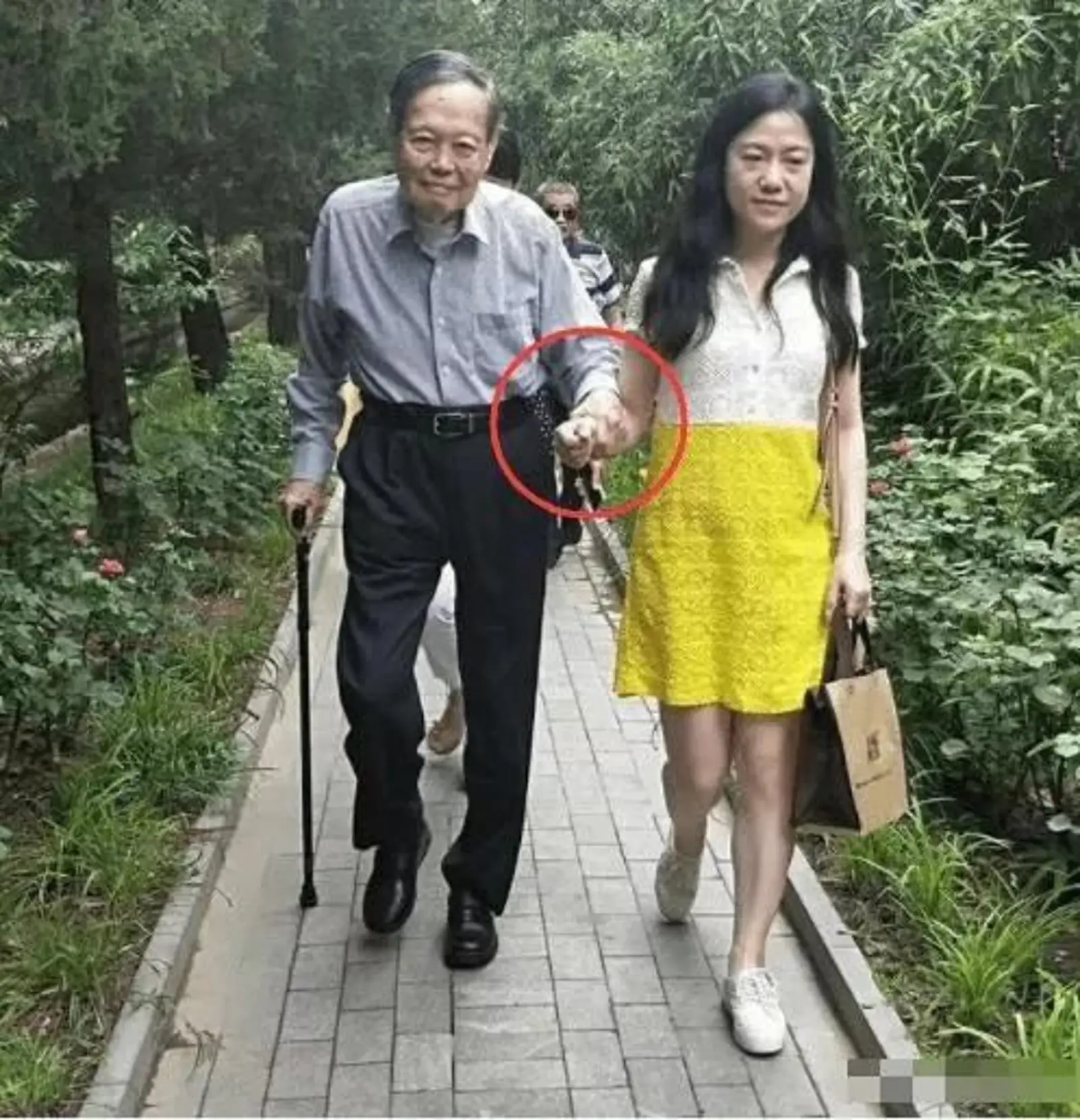 96岁杨振宁现身清华43岁翁帆变“拐杖”恩爱十足