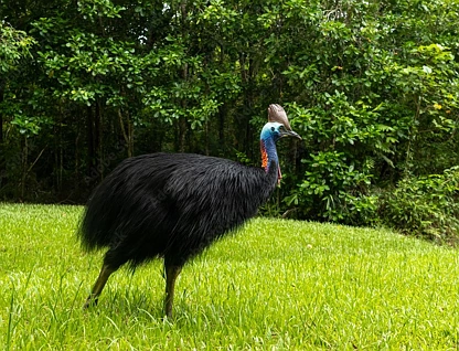 LOT 38/Rockingham Close, Wongaling Beach, Cairns, 0 habitaciones, 0 baños, Section