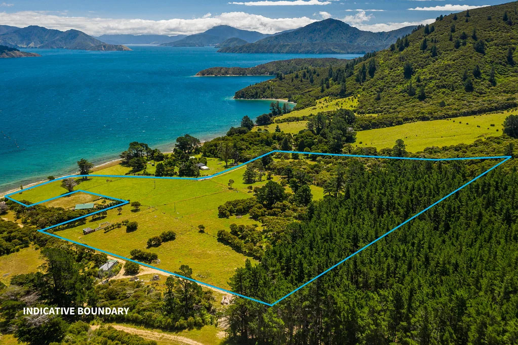 Pelorous Sounds  Clova Bay Opportunity
