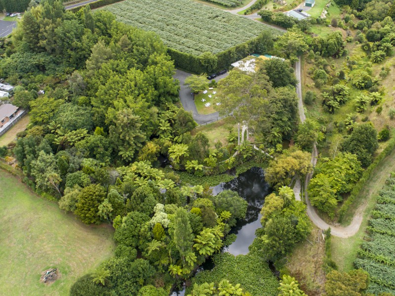 170 Plummers Point Road, Whakamarama, Bay Of Plenty, 0 rūma, 0 rūma horoi