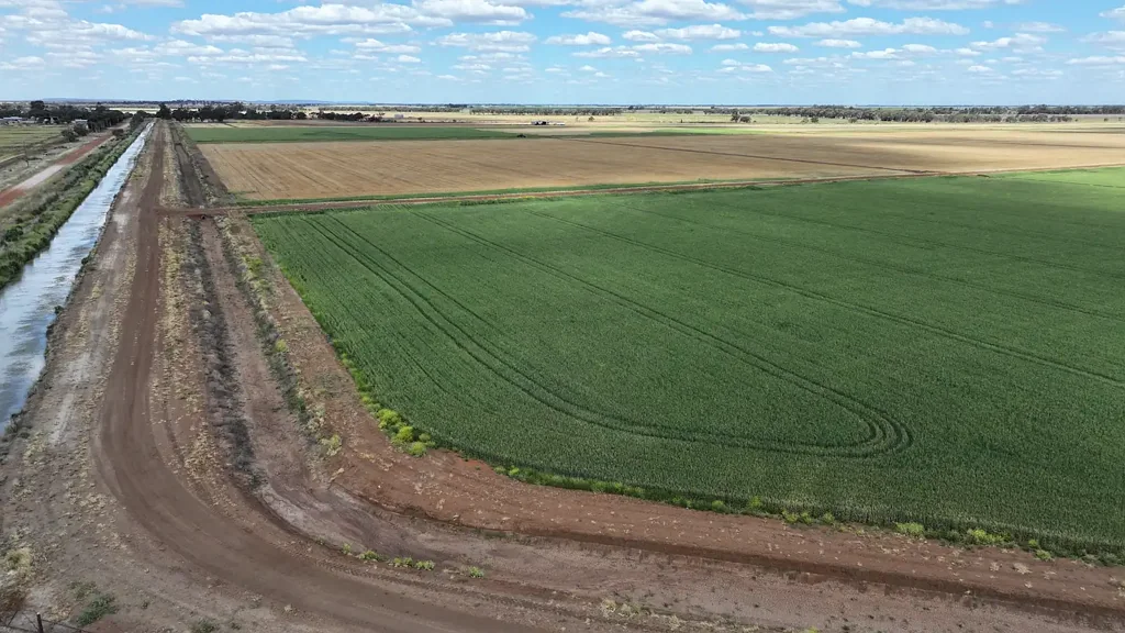 Widgelli  READY-TO-GO IRRIGATION FARM - ALL THE HARD WORK DONE!