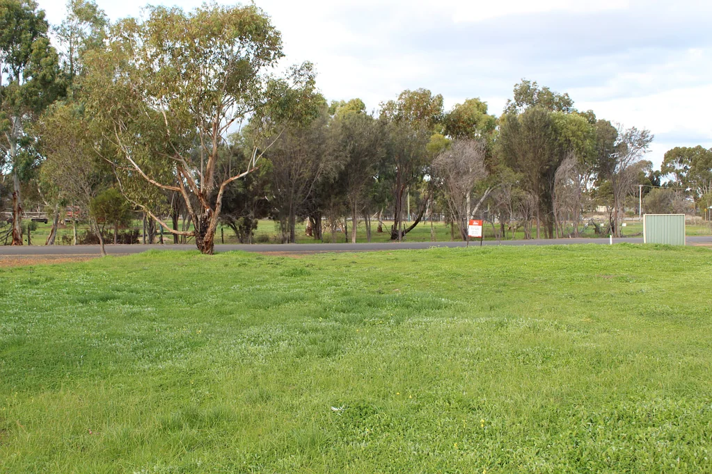 47 Traverse Street, Wagin, WA 6315