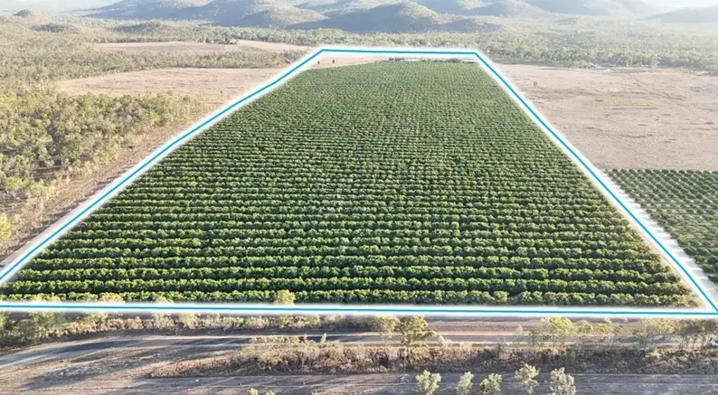 Dimbulah  Prime Avocado Farm - 108 Acres with Creek Frontage!