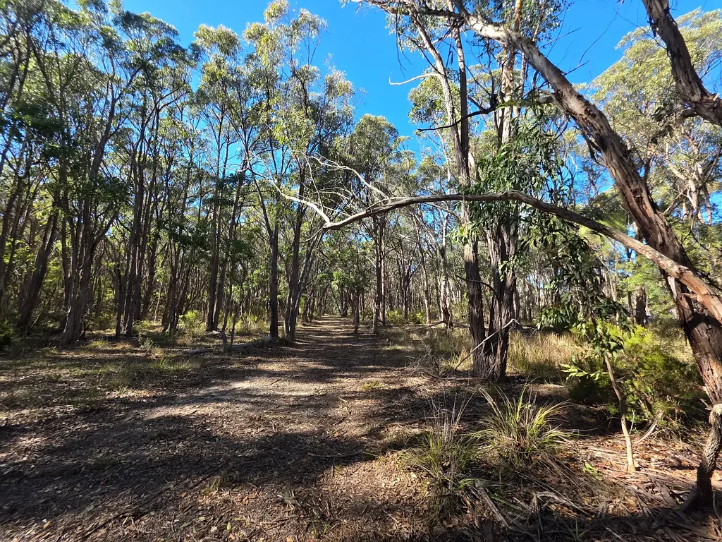 Applethorpe 3房  HIDDEN ACREAGE OPPORTUNITY WITH PLENTY OF POTENTIAL