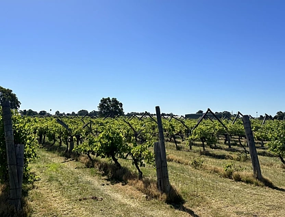 LOT 17 Caversham Avenue, Caversham, Swan, 0部屋, 0バスルーム, Section