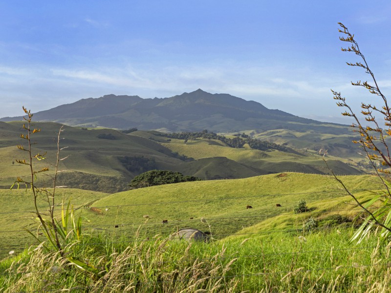 498b Phillips Road, Raglan, Waikato, 0 રૂમ, 0 બાથરૂમ