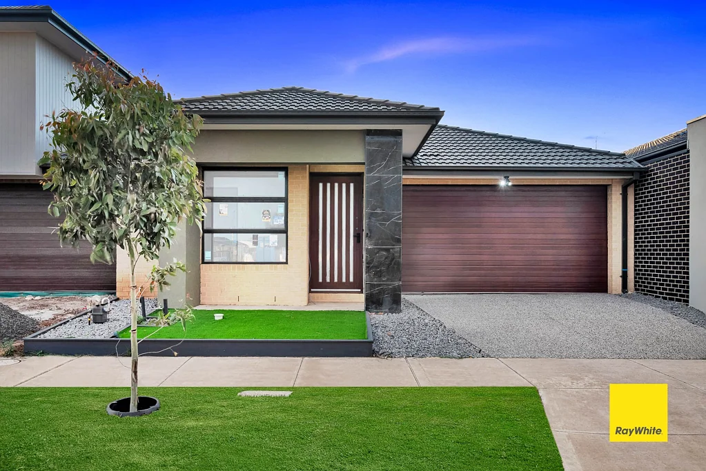 19 Manchado Street, Tarneit, VIC 3029