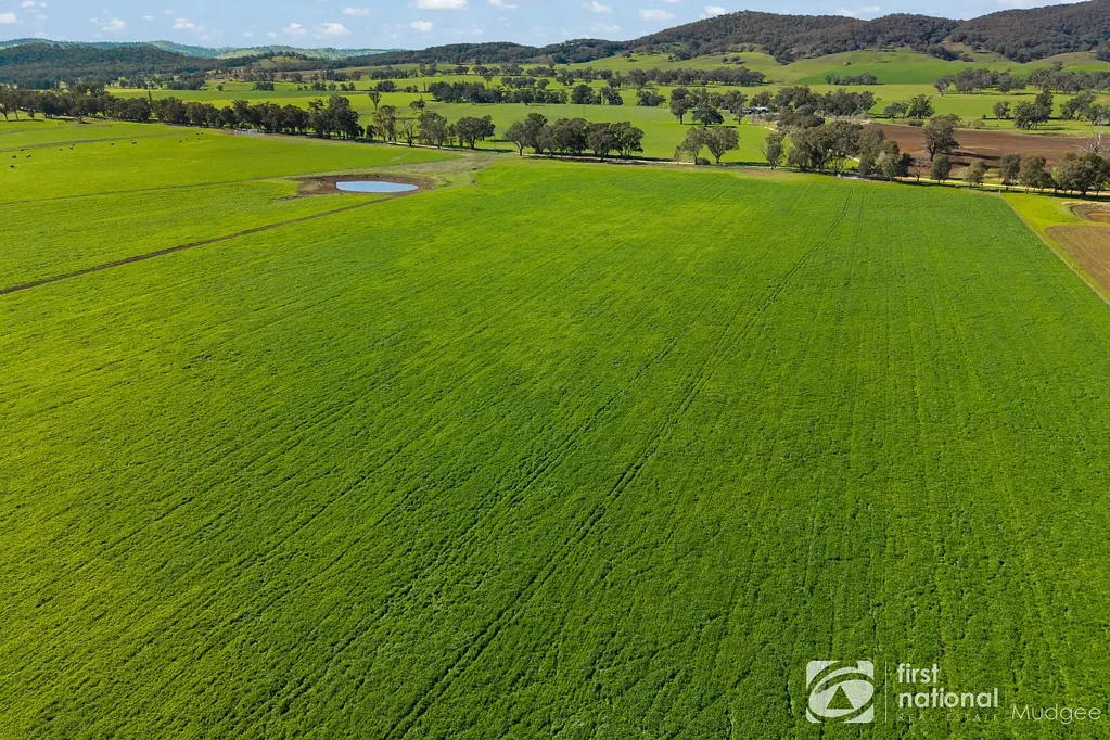 Mudgee OUTSTANDING FARMING AND GRAZING OPPORTUNITY ON MUDGEE'S DOORSTEP
