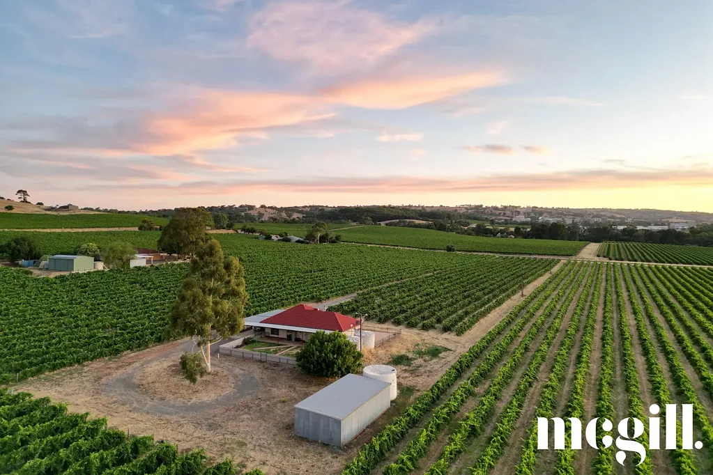 Penrice 3Kwarto House and Barossa Vineyard with Income Potential