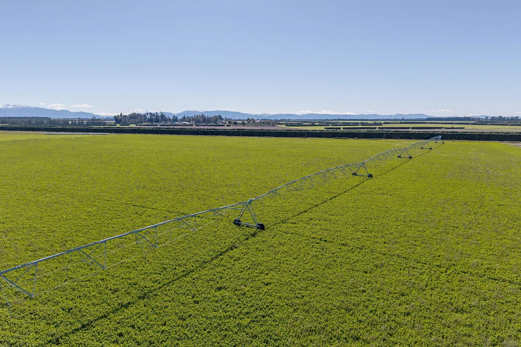 Darfield  Productive opportunity with future upside