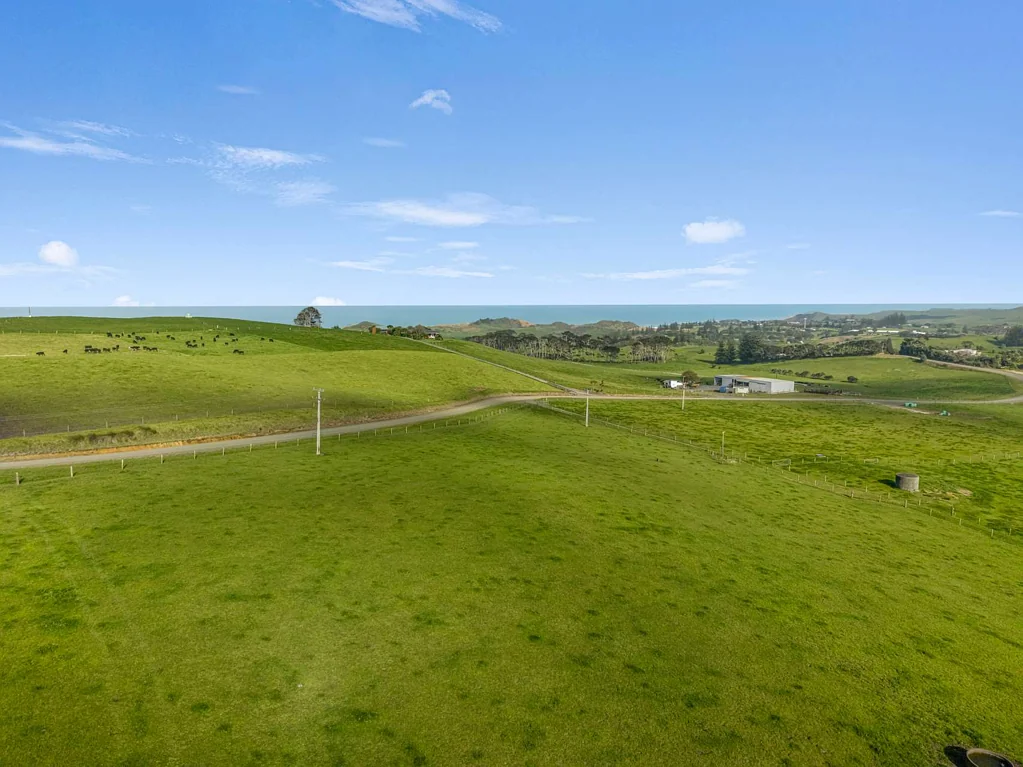 Dargaville Surrounds  Prime Lifestyle Blocks with Panoramic Views!