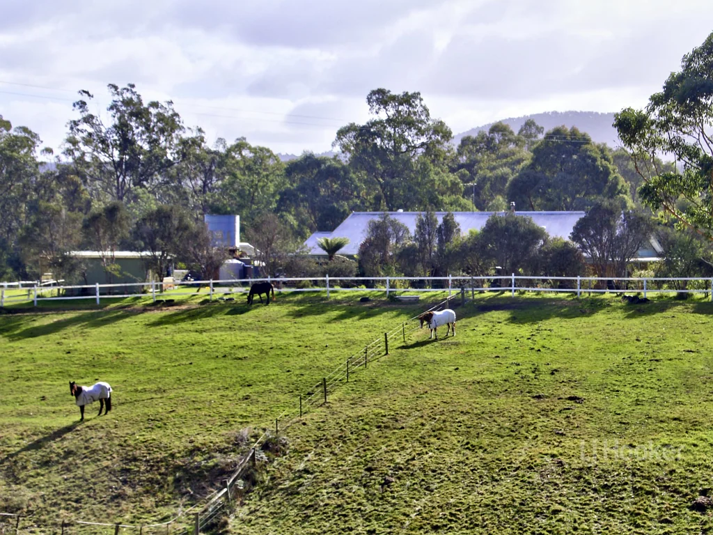 Nowa Nowa NOW A, HORSE PROPERTY TO INSPECT AT NOWA NOWA
