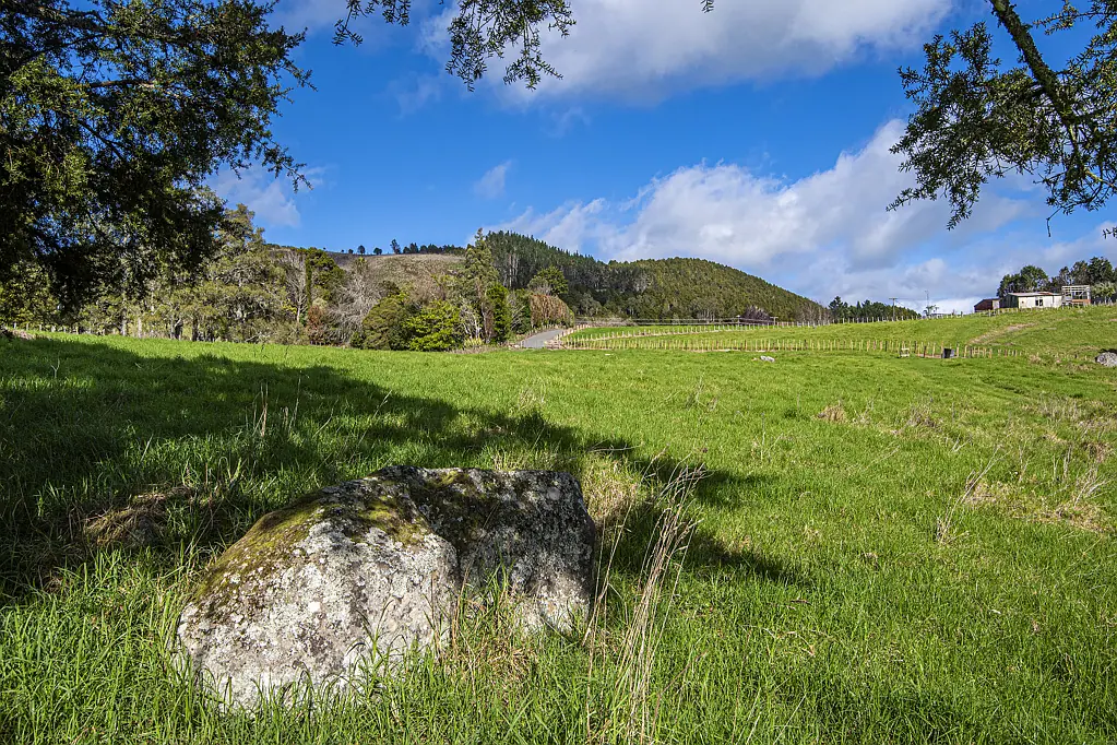 451 Crane Road, Kauri, Whangarei, Northland