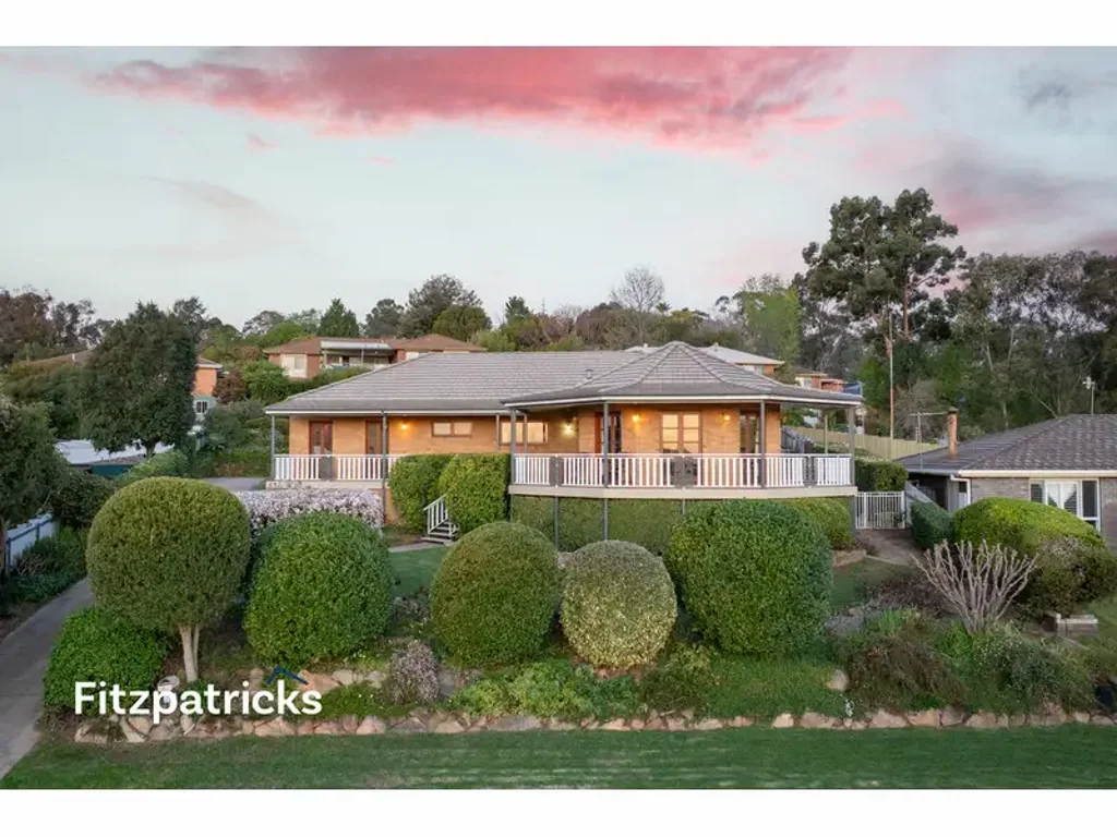 High on the Hill and Space for the Whole Family!