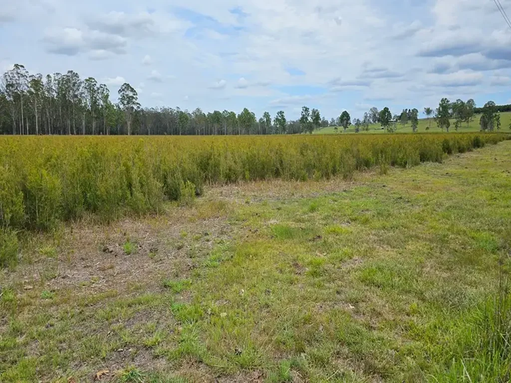 Tatham  OPPORTUNITY FOR AGRICULTURAL VENTURES