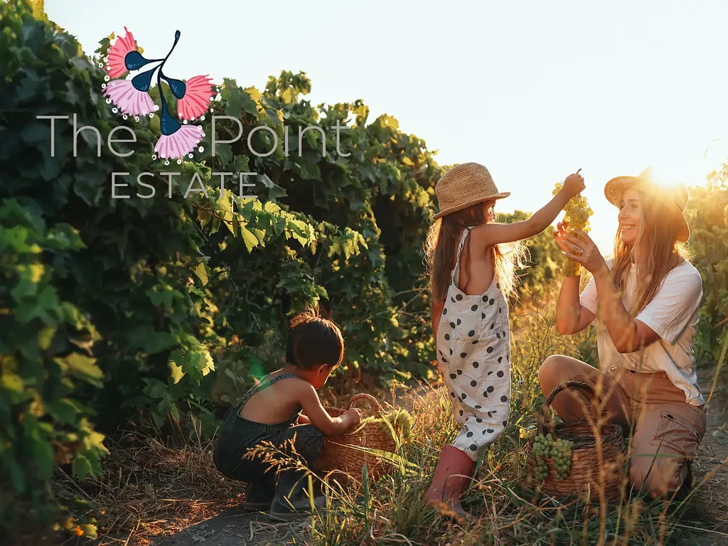 Nichols Point Nichols Point's Premier New Address – Space, Safety & Lifestyle.