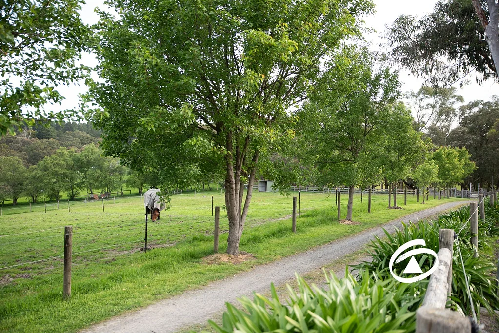 Macclesfield 4ਬੈੱਡਰੂਮ Equestrian Paradise: Hamptons-Style Estate with Premier Facilities