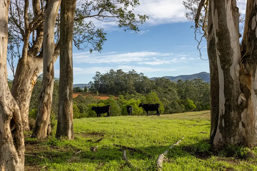 Wootton Deceased Estate | Acres of Opportunity!