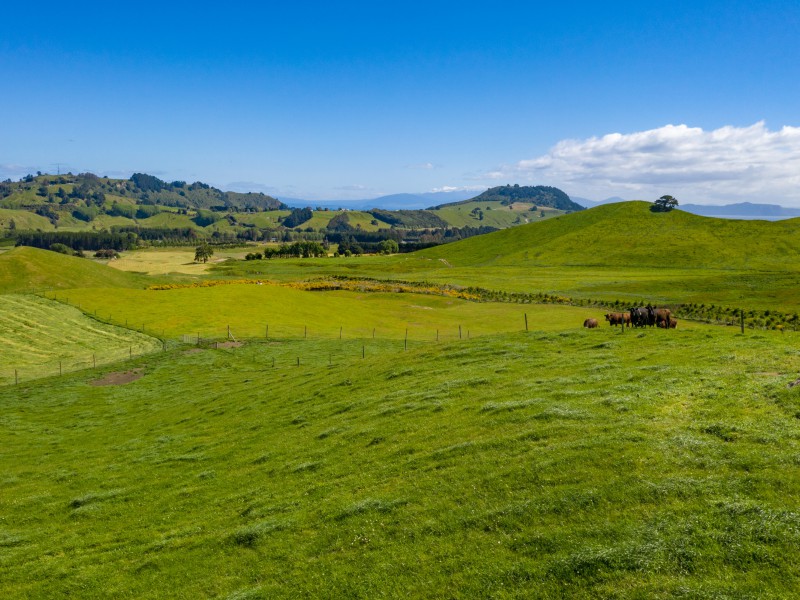 658 Tukairangi Road, Kinloch, Taupo, 4房, 0浴